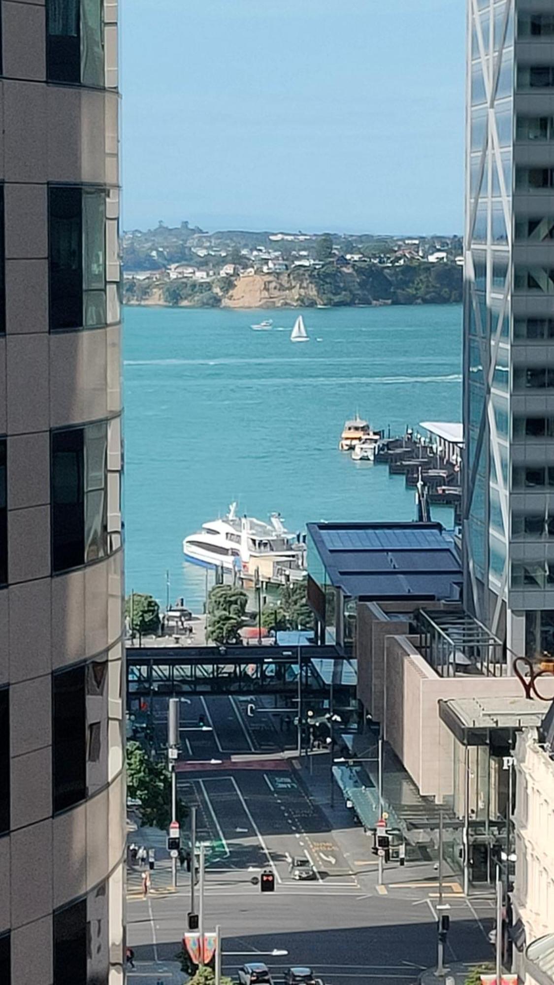 20 Pct Off Sky Stars Park Apartment Auckland Camera foto